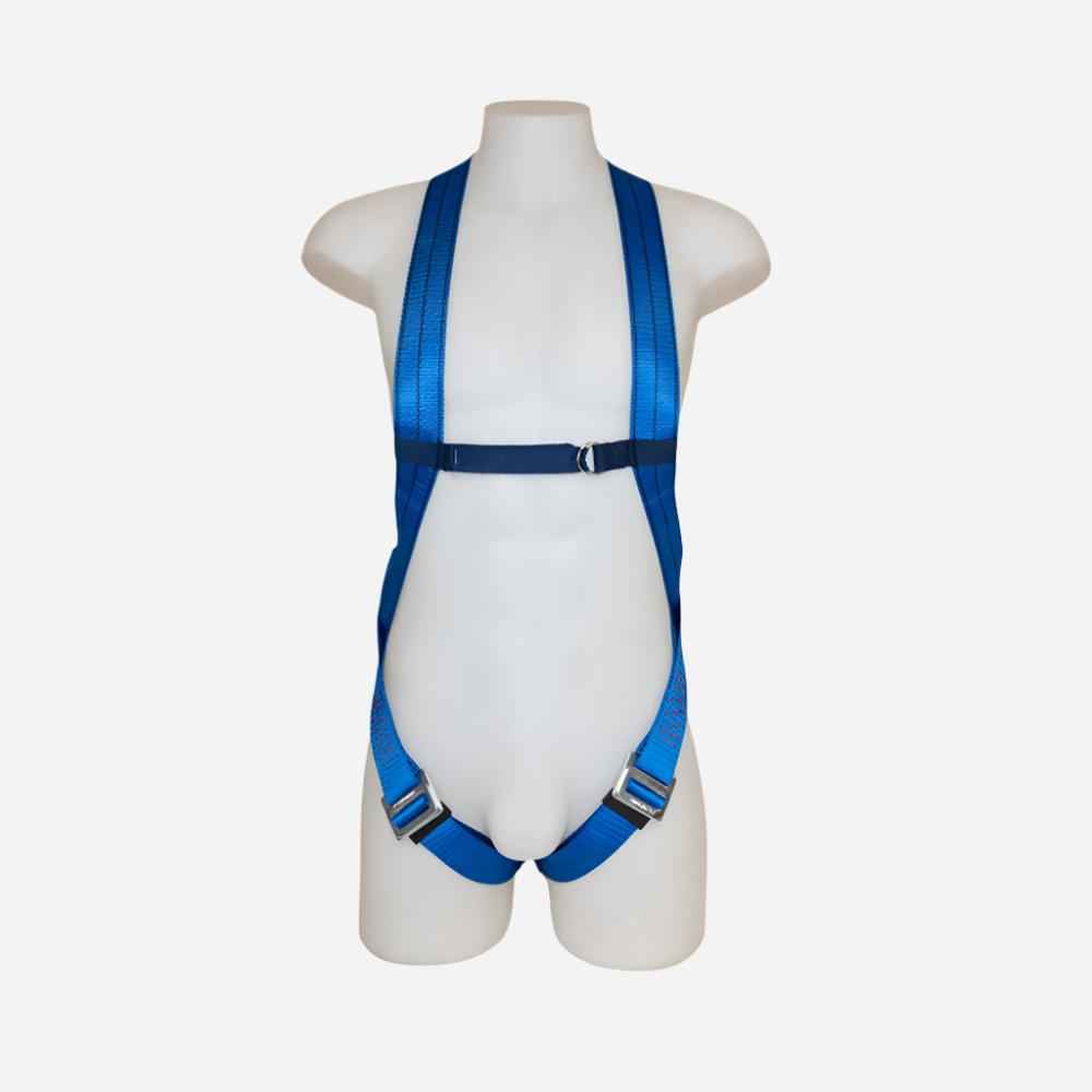 GRANGE BASIC 2-POINT HARNESS SINGLE-STRAP SCAFF-HOOK LANYARD - Procon Marketing (Pty) Ltd