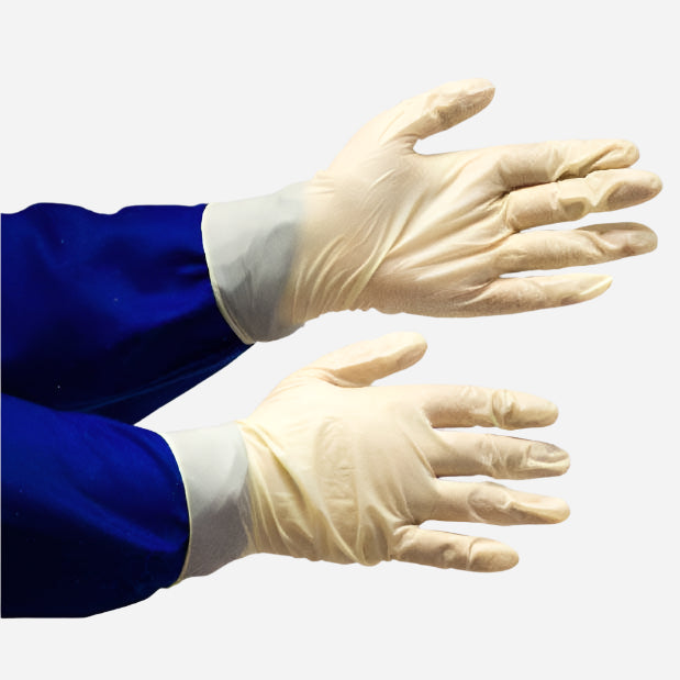 GRANGE DISPOSABLE LATEX EXAMINATION GLOVE - WHITE NON-POWDERED - Procon Marketing (Pty) Ltd